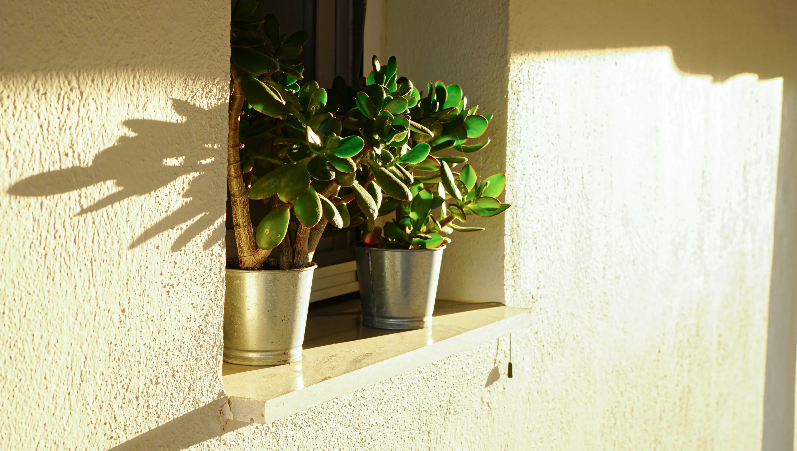 Avgerou Rooms apartment detail